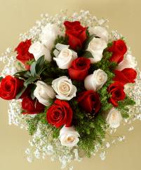 Mod.400 - Rosas blancas y rojas